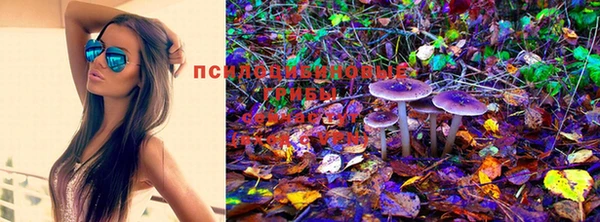 синтетический гашиш Алексин