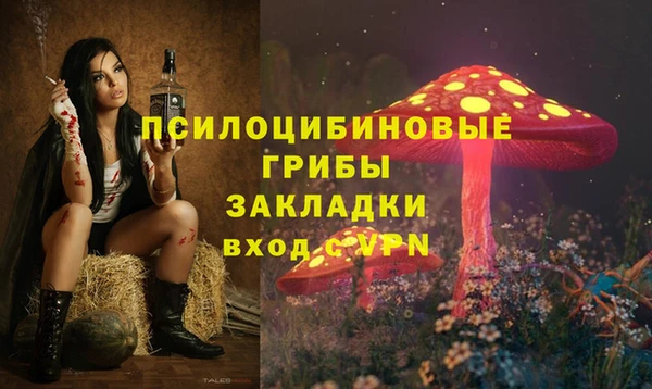 синтетический гашиш Алексин