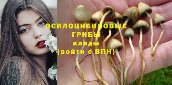 синтетический гашиш Алексин